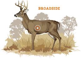 where to shoot a deer grand view outdoors