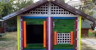 Design Dog Hut By Selda Perili