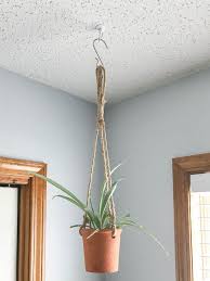 If you don't want to go through the trouble of finding a joist, or there isn't a joist where you want to hang your plant, you can use a toggle bolt with the hook. Two Ways To Install A Ceiling Hook For Plants Diy Plants Diy Plant Hanger Plant Hooks