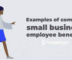 Surveying your employees is the quickest way to get a clear understanding of what your employees are excited about in terms of below are examples of common employee benefits to consider offering (note that the list below differs from the one in step 3) Employee Benefits Human Resources Today