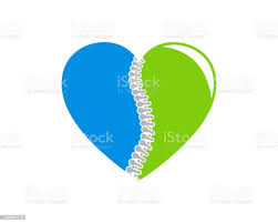 There are numerous claims that it helps with digestive issues, improves memory, strengthens your immune system, promotes stronger bones and reduces joint pain, says keri gans, a registered dietician and author of the small change Back Bone Shape Spinal Anatomy Center Cervical Thoracic And Lumbar Spine Info