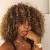 Curly Black Girl Highlights