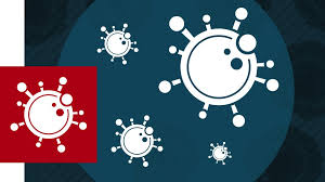 Недоказанность заражения собаки от человека