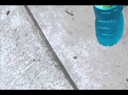 Akan tetapi dalam keadaan darurat bisa menambahkan dengan air biasa, tambahnya. How To Get Free Windshield Washer Wiper Fluid Youtube