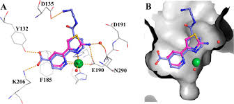 The mini never saw any use, just too small. Http Pubs Acs Org Doi Pdf 10 1021 Acs Jmedchem 5b01635