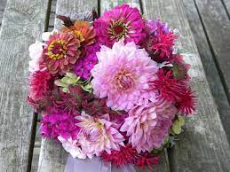 Select the color that fits best with your wedding style, and combine it with a mix of other blooms. Wedding Flowers From Springwell Summery Pink Dahlia And Zinnia Bouquet Zinnia Wedding Flowers Beautiful Wedding Flowers Dahlias Wedding