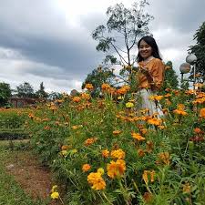 Istirahat di cibubur van taman bunga wiladatika cibubur. Taman Bunga Wiladatika Cibubur Di Jakarta