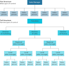 organizational design considerations introduction to business