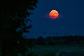 Photos of August's Rare Super Blue Moon ...