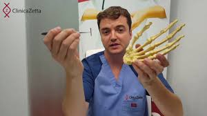 Ser la mano derecha de alguiento be somebody's right hand man. Idee Exe Deget ArticulaÈ›ie Degetul Mare Durere SeverÄƒ De ViÈ›el Cu Gripa