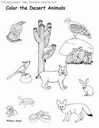 This wild west landscape is full of coloring fun. Animal Pictures For Coloring Lovely Desert Animals Coloring Pages Timeless Miracle Desert Animals Coloring Desert Animals Desert Animals And Plants
