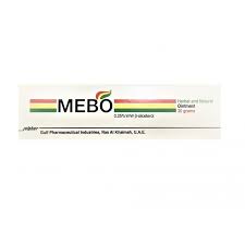 Mebo had a zoom call with dr hazen and his team in october. Meta Title