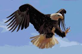 Birds That Look Like Bald Eagles Bald Eagle Cross Stitch Pattern American Birds Of Prey Pixel Etsy Bald Eagle Eagle Pictures Birds Of Prey