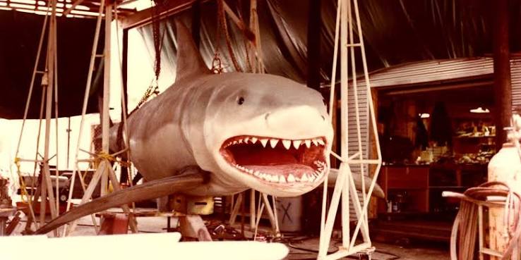 JAWS II: Blockbuster filmed in Destin celebrates 40 years