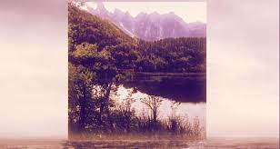 Nft Marketplace Nifty Gateway Plans To Go Carbon Neutral Decrypt In 2021 Nifty Neutral Festivals Around The World