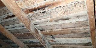 Mold in attic mold in attic is fairly common, because attics are often damp. Attic Mold Find Permanent Solutions Environix