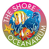 Save up to 15% on tickets by booking at least a day in advance of your visit day. Home