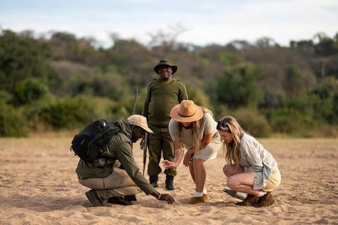 Safari mistakes to avoid - long driving distances on safari roads