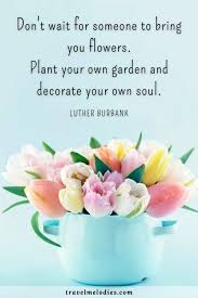 Check spelling or type a new query. Beautiful Flower And Spring Quotes To Celebrate The Soulful Season