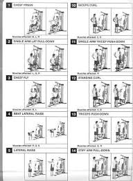 Homegymexercisechart Weiderhomegym6900 Gym Workout Chart