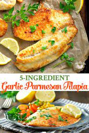 5 Ingredient Parmesan Crusted Tilapia Recipe Fish Recipes Healthy Tilapia Dinner Recipe Seafood Dinner