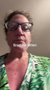 Brad the Kitten: A Charming Reincarnation Tale