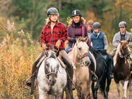 Das filmteam von „reiterhof wildenstein: Reiterhof Wildenstein Ard Drehort Besetzung Und Handlung Der Episode Neuanfang Film Tv Serien