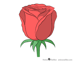 Learn how to draw simple flowers with these step by step guides made for beginners. How To Draw A Rose Step By Step Animeoutline