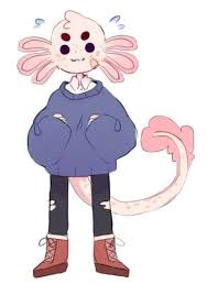 They are easy to care for and make enjoyable pets. How To Draw A Cute Axolotl Shefalitayal