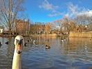 Barnes London
