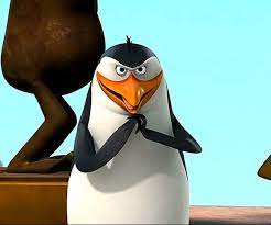 The movie, and the penguins of madagascar tv series. Rico The Penguins Of Madagascar Photo Rico Penguins Of Madagascar Penguins Madagascar