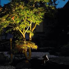 Bega Led Compact Floodlight 7903 Idealightings Outdoor Landscape Lighting Landscape Lighting Outdoor Tree Lighting