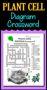 Plant Cell Crossword With Diagram Printable Distance Learning Options Plant Cell Diagram Cell Diagram Plant Cell