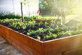 He put one in each corner first, and i believe he tied some string between the posts to place the other ones in straight lines. 4 Best Raised Garden Bed Options For The Backyard Bob Vila