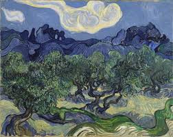 Pin By Anne Pinkava On Wide Open Country Vincent Van Gogh Art Van Gogh Olive Trees Van Gogh Landscapes
