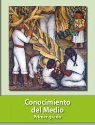 Matemáticas 6 grado con respuestas de paco el chato. Primero De Primaria Libros De Texto De La Sep Contestados Examenes Y Ejercicios Interactivos
