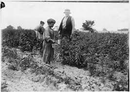 Pin On Progressive Era 1890 1920