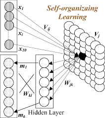 Structure Of Self Organizing Neural Network Sonn Download Scientific Diagram