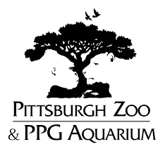 Http Www Underware Nl Case Studies Zoo Logo Pittsburgh Zoo Negative Space Logos
