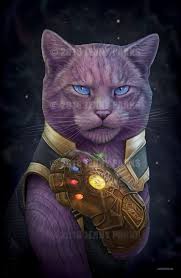 Jenny Parks Illustration Jenny Park Cute Animal Drawings Cat Art