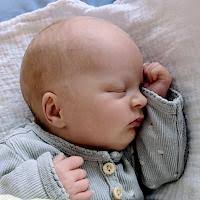 Neues Daheim für Bitscher Pony