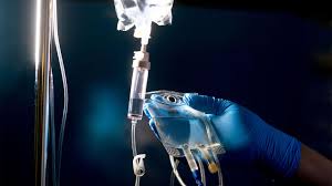 Image result for Systemic Corticosteroid