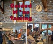 Guided Wine Tasting at Old York Cellars