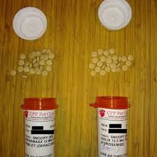 California pet pharmacy (cpp pet care) terms and conditions. California Pet Pharmacy 26 Photos 302 Reviews Pet Services 3157 Corporate Pl Hayward Ca Phone Number
