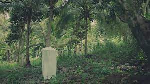Lorde revealed the meaning of the song is about going to parties and hooking up, in which she pierces an atmosphere of hedonism with stabs of melancholy. Lorde S Perfect Places Video Is The Most Dangerous Game Meets Big