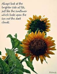 Always Look At The Brightest Side Of Life Just Like The Sunflower Which Looks Upon The Sun Not The Darkest C Sunflower Quotes Flower Quotes Love Flower Quotes