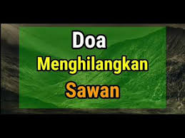 Supaya lebih ramai lagi orang nampak dan memberi sumbangan kepada adik analisa, kita permudahkan urusan orang, semoga allah akan permudahkan urusan kita untuk video terkinin boleh click link di bawah. Doa Menghilangkan Sawan Youtube