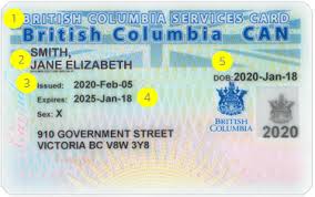 Jul 14, 2021 · tripura forest service mains 2020 admit card: Non Photo Bc Services Card Province Of British Columbia
