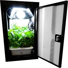 Feb 06, 2018 · how to build your grow cabinet. Grow Cabinets The 7 Best Stealth Grow Boxes For Growing Marijuana