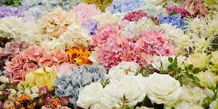 Maybe you would like to learn more about one of these? Kennicott Brothers Company National Wholesale Florist